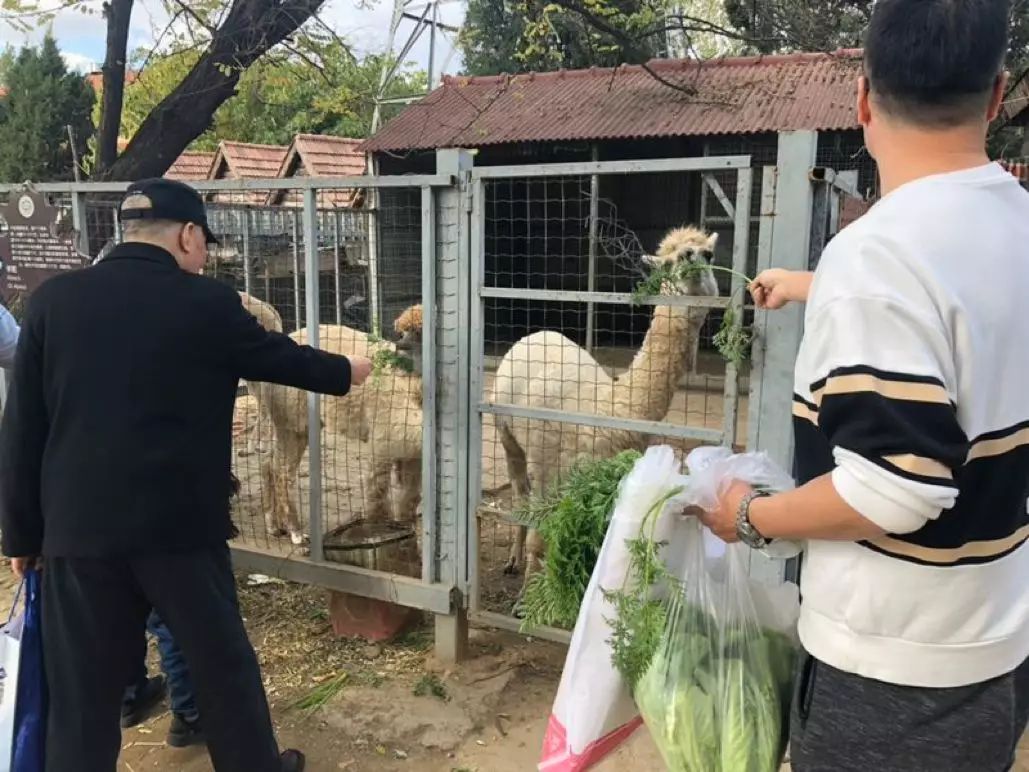 640(8)_结果.jpg