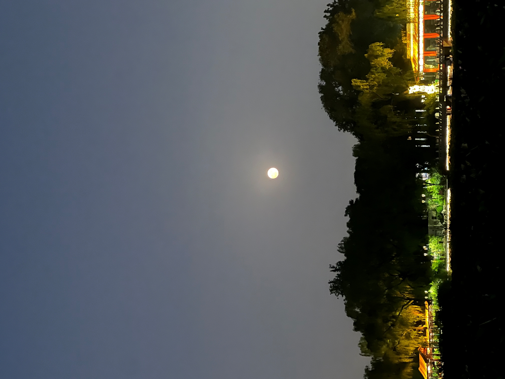8 李珏.jpg